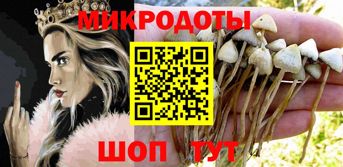 Галлюциногенные грибы Psilocybe  Вход с VPN  Дзержинск 
